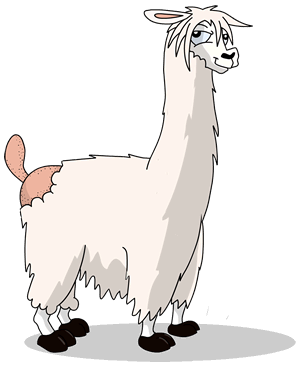 Paco the Alpaca