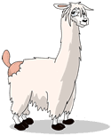 Alpaca